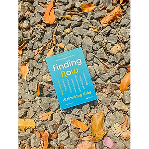 Sách Finding Flow - Đi Tìm Dòng Chảy