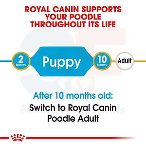Thức Ăn Hạt Cho Chó Poodle Từ 2-10 Tháng Tuổi Royal Canin Poodle Junior