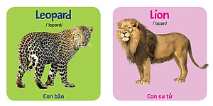 Từ điển hình ảnh đầu tiên cho bé khám phá thế giới (10 cuốn) - My first picture book 