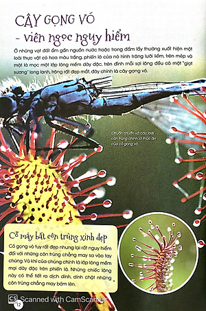 Sách Thực Vật Thần Kỳ