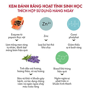 Kem Đánh Răng Giảm Ê Buốt SPLAT Lavendersept Professional Giúp Nướu Khỏe Mạnh, Làm Trắng Và Giảm Ê Buốt Răng 100ml