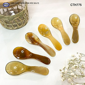 Muỗng/Thìa Bằng Sừng HAHANCO (Đủ Mẫu) Xúc Gia Vị /Cafe /Trà /Giúp Gia Vị Không Mất Mùi