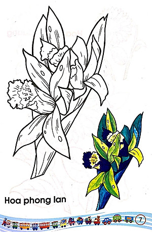 Sách Tập Tô Màu Các Loại Hoa