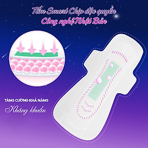 Combo 6 Băng vệ sinh ban đêm Doctor Care tinh chất thảo dược 33.8cm siêu thấm hút