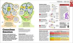How The Brain Works: The Facts Visually Explained (How Things Work)
