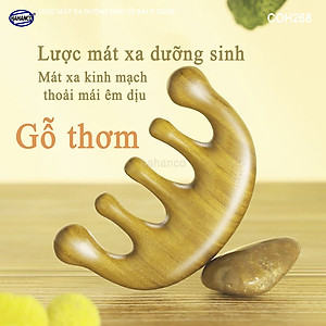 Lược Gỗ Thơm Mát Xa Da Đầu Răng Thưa Thư Giãn Giải Tỏa Áp Lực Độc Đáo - COH268