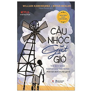 Sách Văn Học Đặc Sắc-Cậu Nhóc Gặt Gió