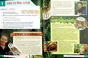 Academy Stars 6 PB Pk