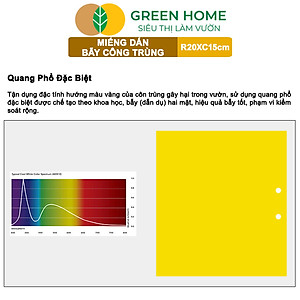 Bộ 10 Miếng Dán Bẫy Côn Trùng GreenHome, R20xC15cm, 2 Mặt, Hiệu Quả, Tiết Kiệm Chi Phí, Dễ Sử Dụng