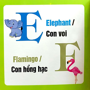 Từ Điển Hình Ảnh Cho Bé - Chữ Cái Tiếng Anh