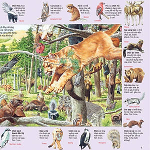 Sách Thử tài tìm kiếm – Động vật