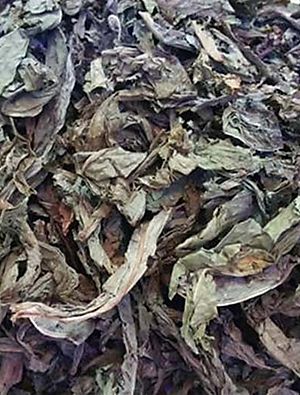 Trà bồ công anh sấy khô (200gr)