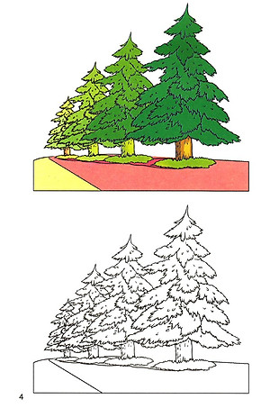 Sách Tập Tô Màu: Dành Cho Bé (5 - 6 Tuổi)