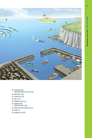 Oxford Advanced Learner's Dictionary 8th with Vietnamese Translation (PB)