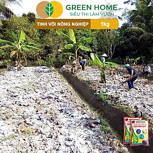 Tinh Vôi Nông Nghiệp Greenhome, Bao 1kg, Cải Tạo Đất, Sạch Nấm Bệnh, Bổ Sung Vi Lượng Giúp Lá To, Quả Nặng