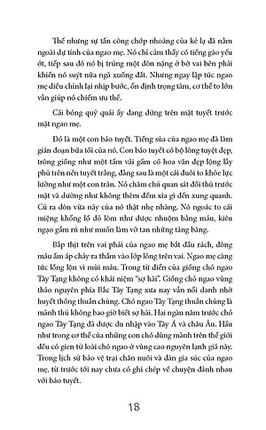 Sách Ngọn Lửa Đen