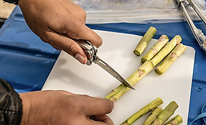 Kìm đa năng Leatherman CURL 15 tools