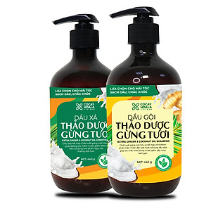 Bộ dầu gội thảo dược gừng dừa Cocayhoala hỗ trợ trị gàu, giảm nấm ngứa, dung tích 440g/chai- 95% thành phần từ gừng tươi hữu cơ còn nguyên xơ gừng, hỗ trợ trị rụng tóc, kích thích mọc tóc vượt trội