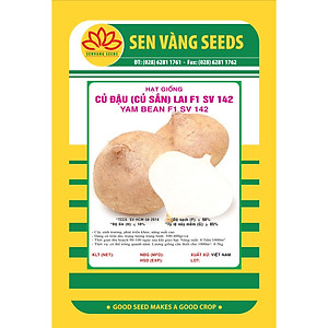 Hạt giống củ đậu - củ sắn Lai F1 VTS100
