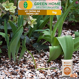 Vỏ Trứng Gà Trồng Cây Greenhome, Sfarm, Bao 1kg, Phân Bón Hữu Cơ, Ngăn Chặn Ốc Sên, Cải Tạo Đất, Chống Côn Trùng, Sâu Bọ