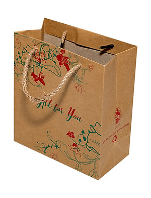 TÚI KRAFT KN201 - 18X16 X8 CM - NGẪU NHIÊN