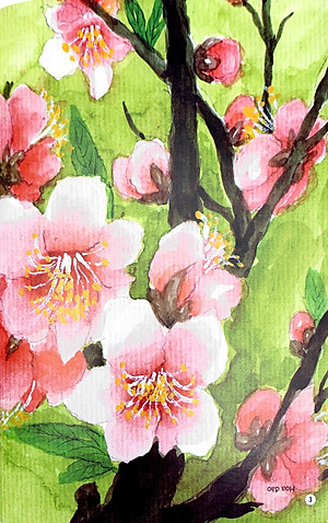 Sách Câu Đố Dân Gian Bằng Tranh - Hoa Quả (Tái Bản 2019)