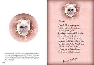 The Art Of Harry Potter: Mini Book Of Graphic Design