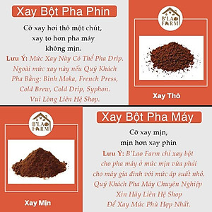 Cà phê Arabica cầu đất B'LAO FARM cà phê nguyên chất rang mộc dành cho Cold Brew - pha phin và pha máy thơm ngọt hậu C5