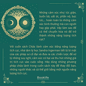 Sách - Chữa Lành Cảm Xúc Bằng Năng Lượng Tích Cực