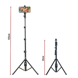 Chân đế điện thoại kết hợp selfie cầm tay Yunteng VCT 1388/1388L có remote Bluetooth điều khiển chụp từ xa hàng chính hãng