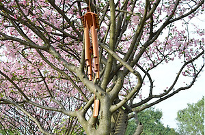 Chuông gió tre trúc phonng thủy may mắn trang trí nhà cửa