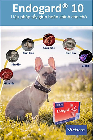 Hộp 2 viên Endogard phòng trị giun tim, giun tròn, sán dây trên chó