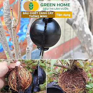 Bầu Chiết Cành Greenhome, Dụng Cụ Làm Vườn, Tăng Khả Năng Ra Rễ, Chống Úng Cành Chiết, Độ Bền Đến 2 Năm, Dễ Sử Dụng
