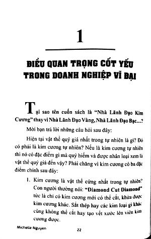 Nhà Lãnh Đạo Kim Cương (7 Bước Xây Dựng Đội Ngũ Tài Năng Giúp Doanh Nghiệp Tăng 300% Lợi Nhuận) - Tái Bản