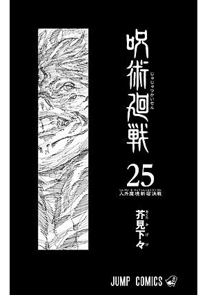 Jujutsu Kaisen 25 (Japanese Edition)