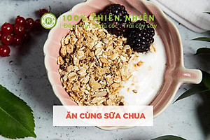 Yến Mạch Cán Dẹt Real Food (1kg)