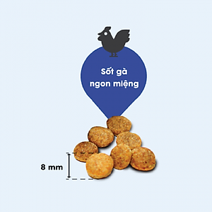 [1KG / 2,4KG  ] - Thức ăn hạt cho chó trưởng thành DOG MANIA ADULT