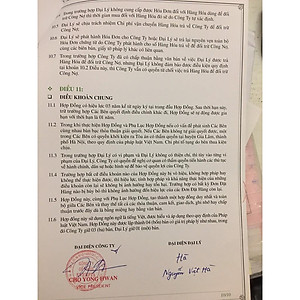 Ruột gối CLASSIC SOFT 45*65 (PHIÊN BẢN NÂNG CẤP CỦA GỐI TRUYỀN THỐNG)