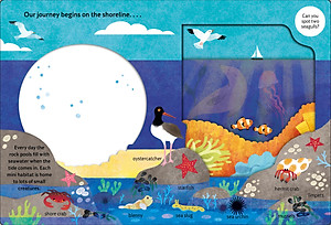 Look Closer: Under The Ocean