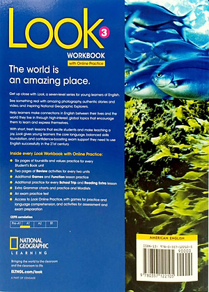 Look 3: Workbook With Online Practice
