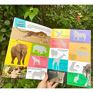 Sách Dán hình nhận biết động vật - Động vật hoang dã