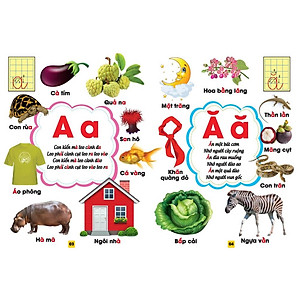 Sách Từ Điển Bằng Tranh - Bảng Chữ Cái Tiếng Việt (Bìa Cứng)