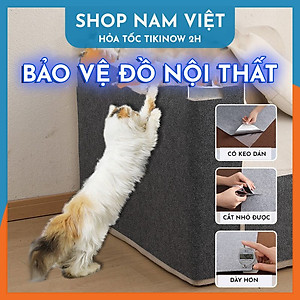 Tấm Mèo Cào Dán Bảo Vệ Nội Thất, Tấm Cào Móng Dán Tường