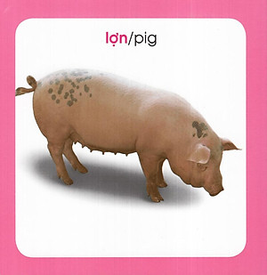 Từ Điển Hình Ảnh Cho Bé: Động Vật (Tái Bản 2019)