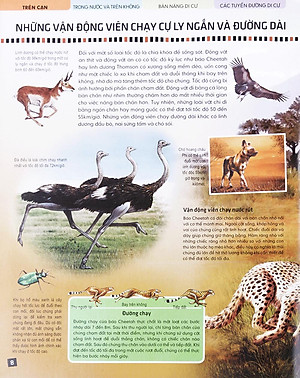 Sách Di Chuyển Và Di Cư