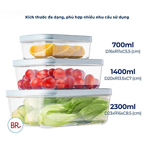 Bộ 3 hộp đựng thực phẩm chữ nhật Hokori - hàng Chính Hãng