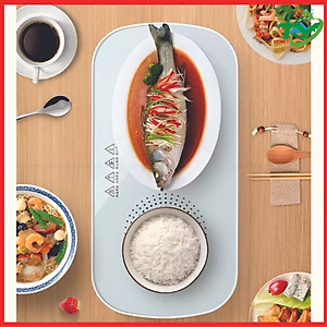 Khay Hâm Nóng Thức Ăn Đa Năng Tiện Lợi - Mặt Kính Cường Lực Chắc Chắn Hàng Nhập Khẩu
