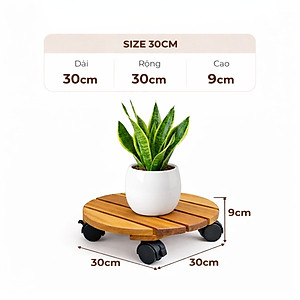 Đế Lót Chậu Cây ANKAN Có Bánh Xe - Gỗ Tràm Mặt Tròn 30cm, Tải Trọng 60kg - Màu Vàng
