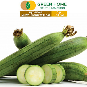 Hạt Giống Mướp Hương Greenhome, Gói 1gr~10 Hạt, Dễ Trồng Quanh Năm, Nảy Mầm Cao, Thu Hoạch Nhanh, Năng Suất Cao T16