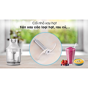 Máy xay sinh tố cầm tay Philips HR2537 (650W) - Hàng chính hãng